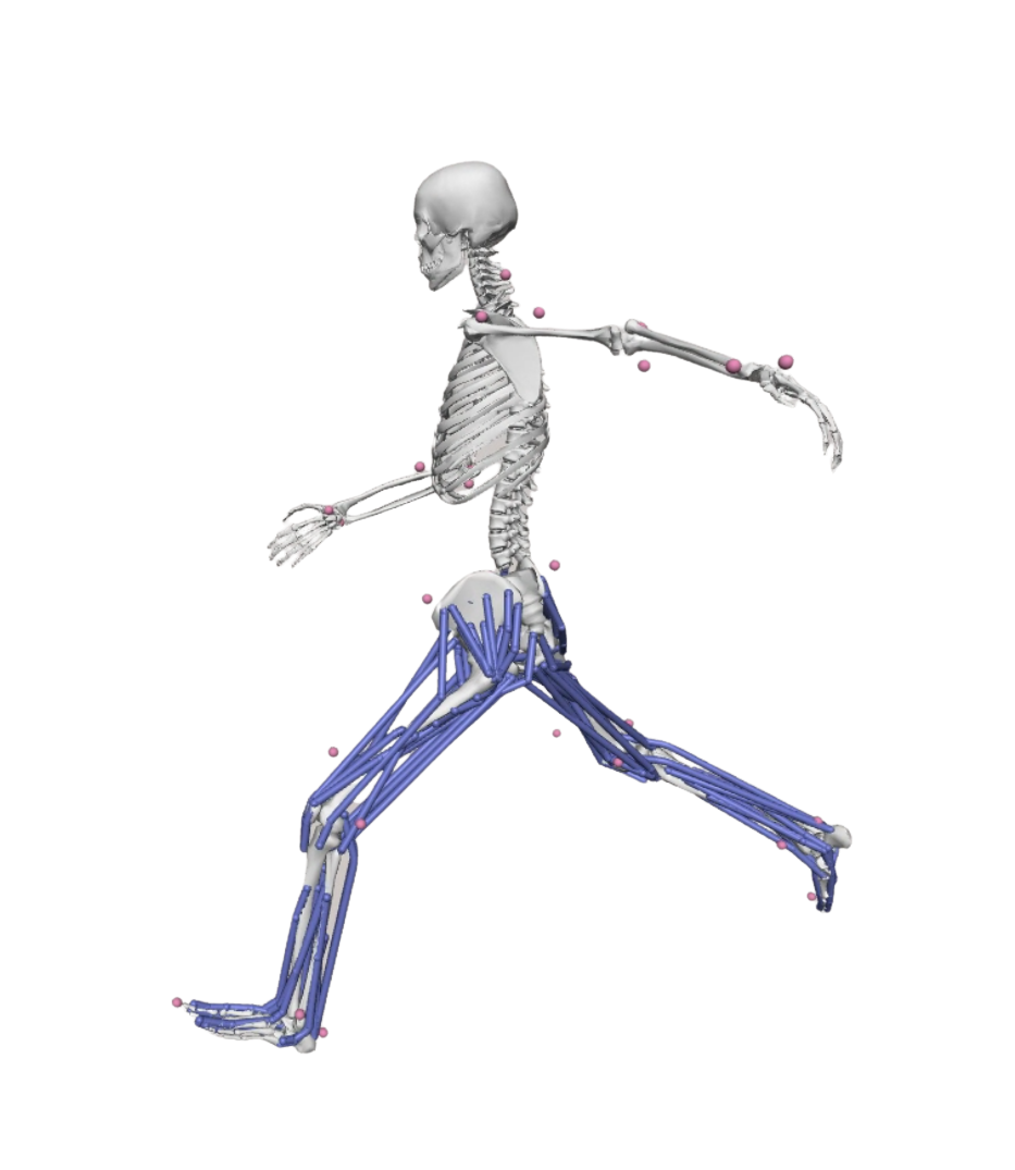 img_move4d img_move4d